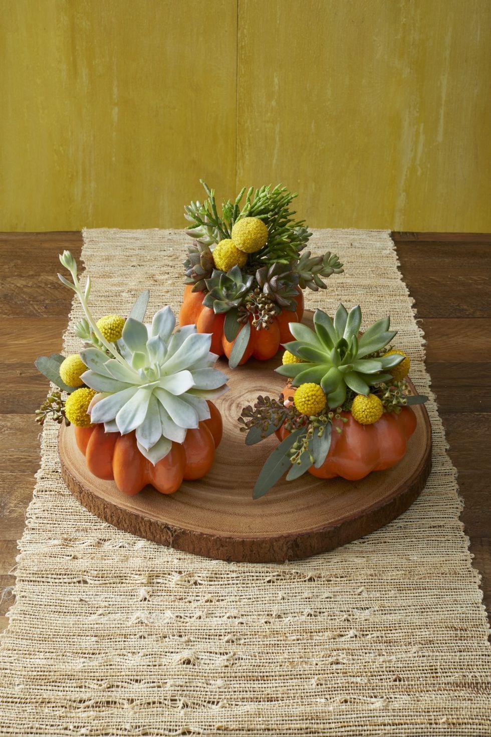 Succulent-pumpkin-planter-1596742976