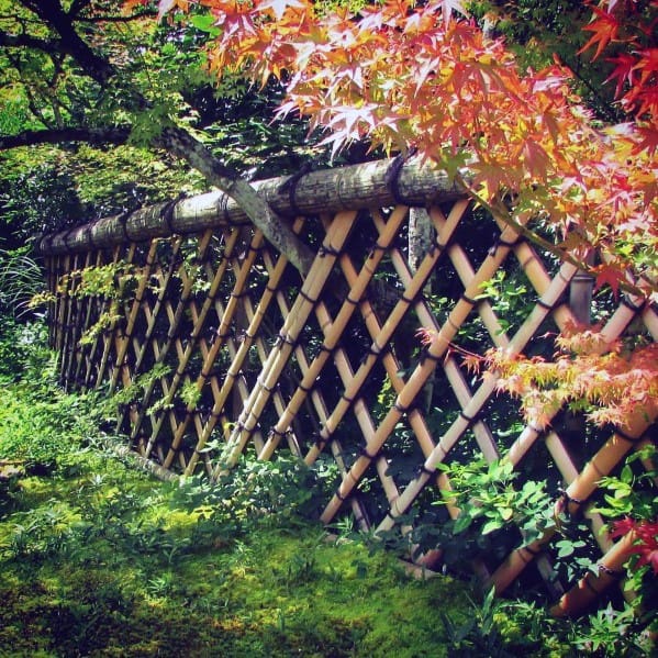 Unique-bamboo-fence-designs