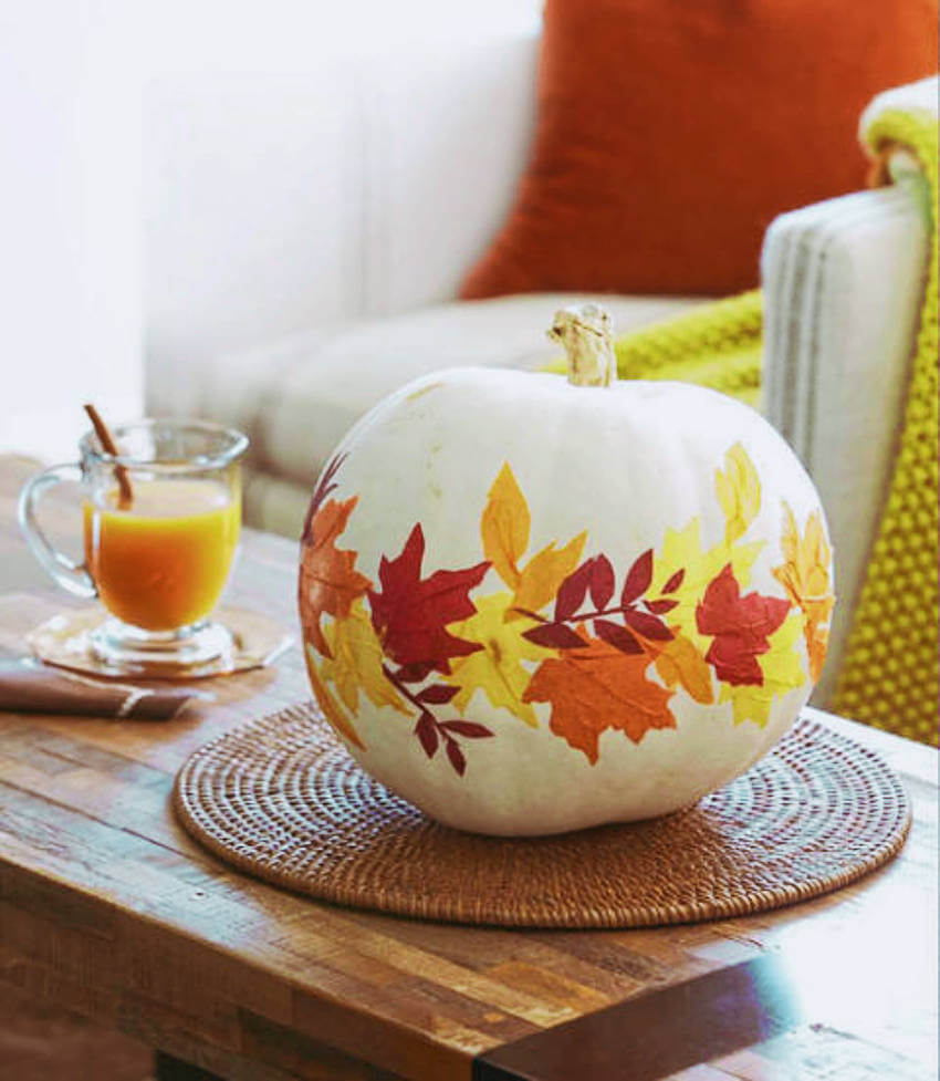 White-pumpkin-leaves