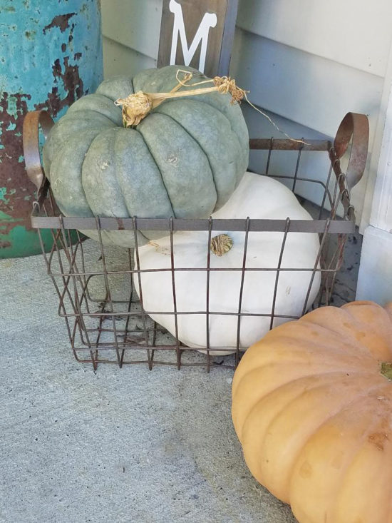 White-pumpkins-green-pumpkins-small-front-porch-ideas-550x733-1