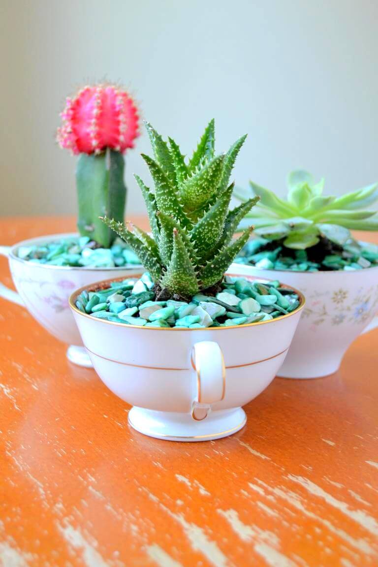 05-teacup-mini-garden-ideas-homebnc