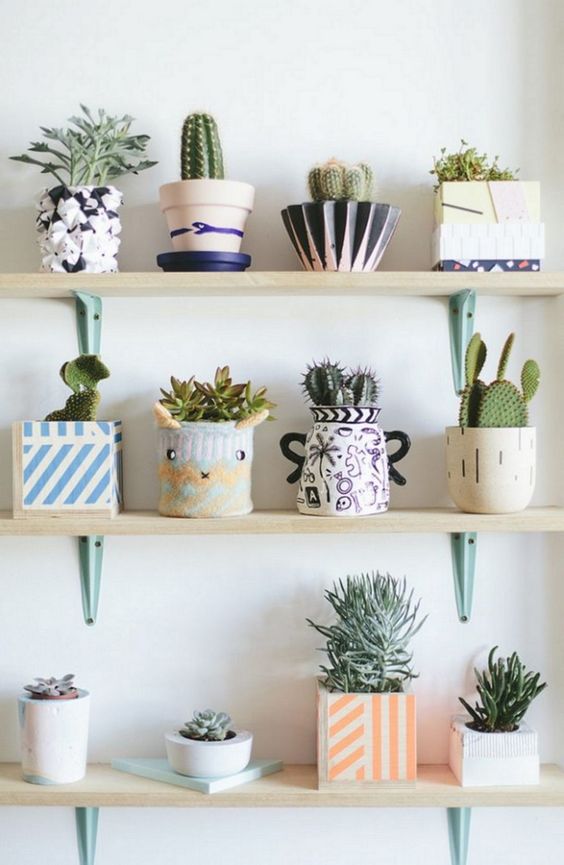 1-small-cactus-decoration-ideas22
