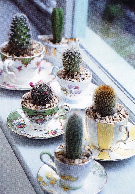 1-small-cactus-decoration-ideas8