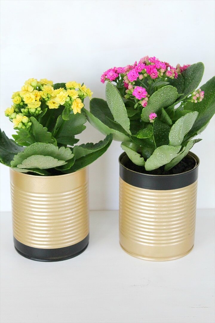1-tincan-planters