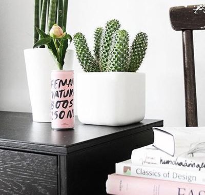 10-succulent-decorating-ideas-69