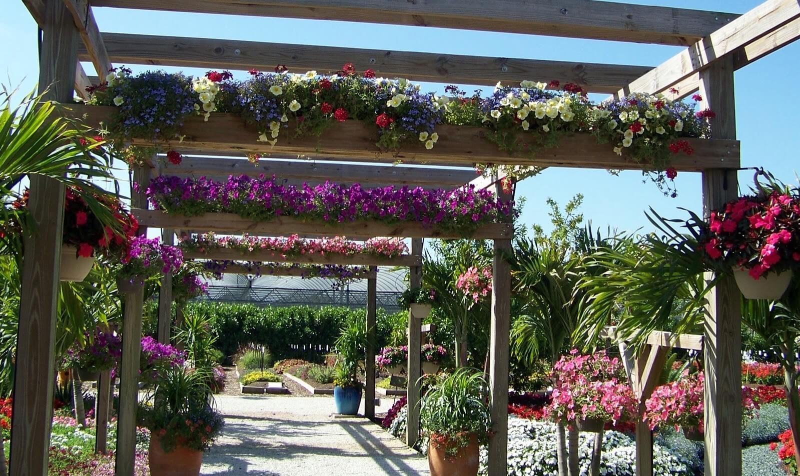 23-pergola-ideas-homebnc-1