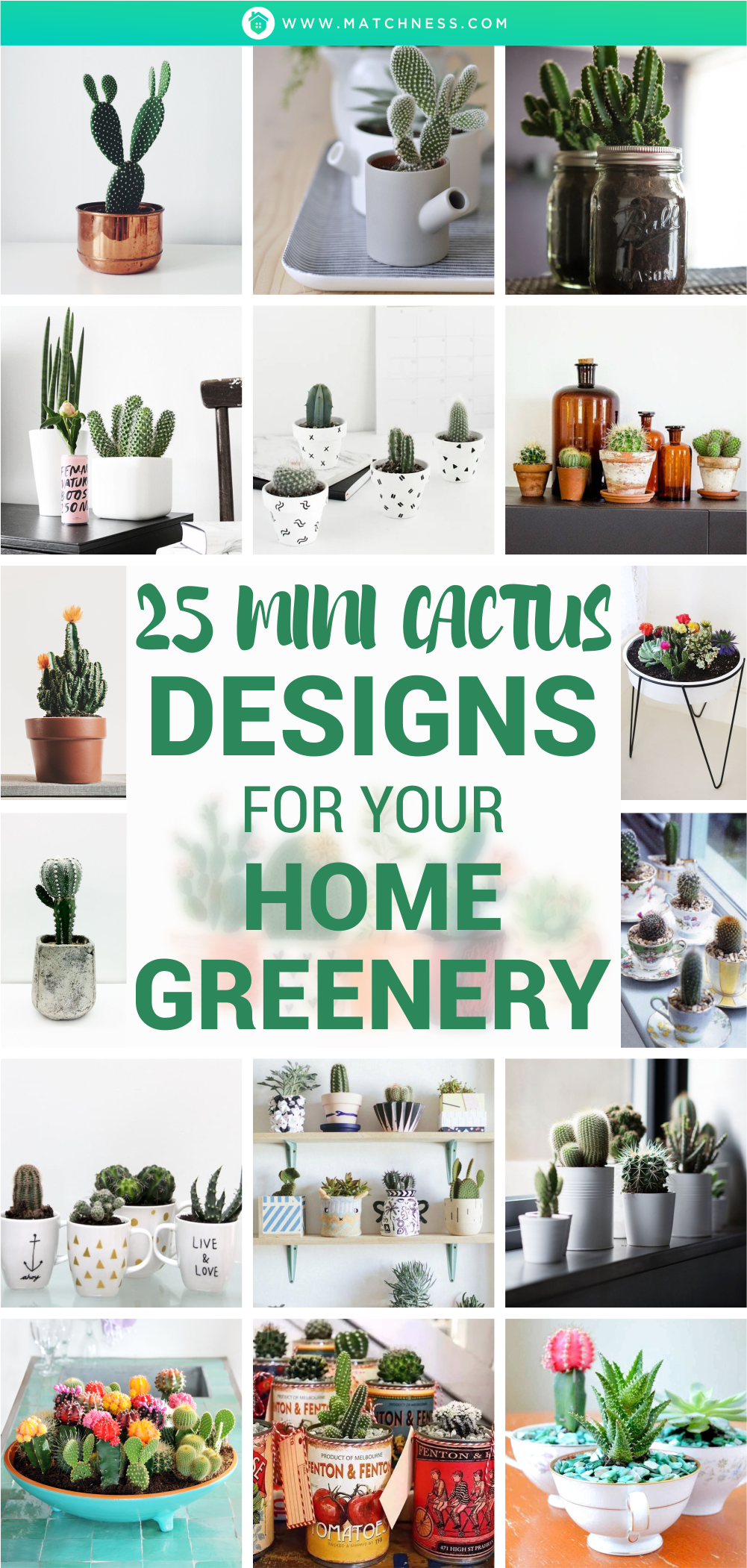 25-mini-cactus-designs-for-your-home-greenery1