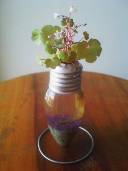 8_rescue-vase-kosmu