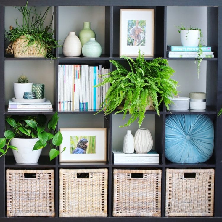 Bookcase-styling-750x750-1