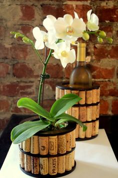 Diy-flower-pot-ideas-homesthetics-8