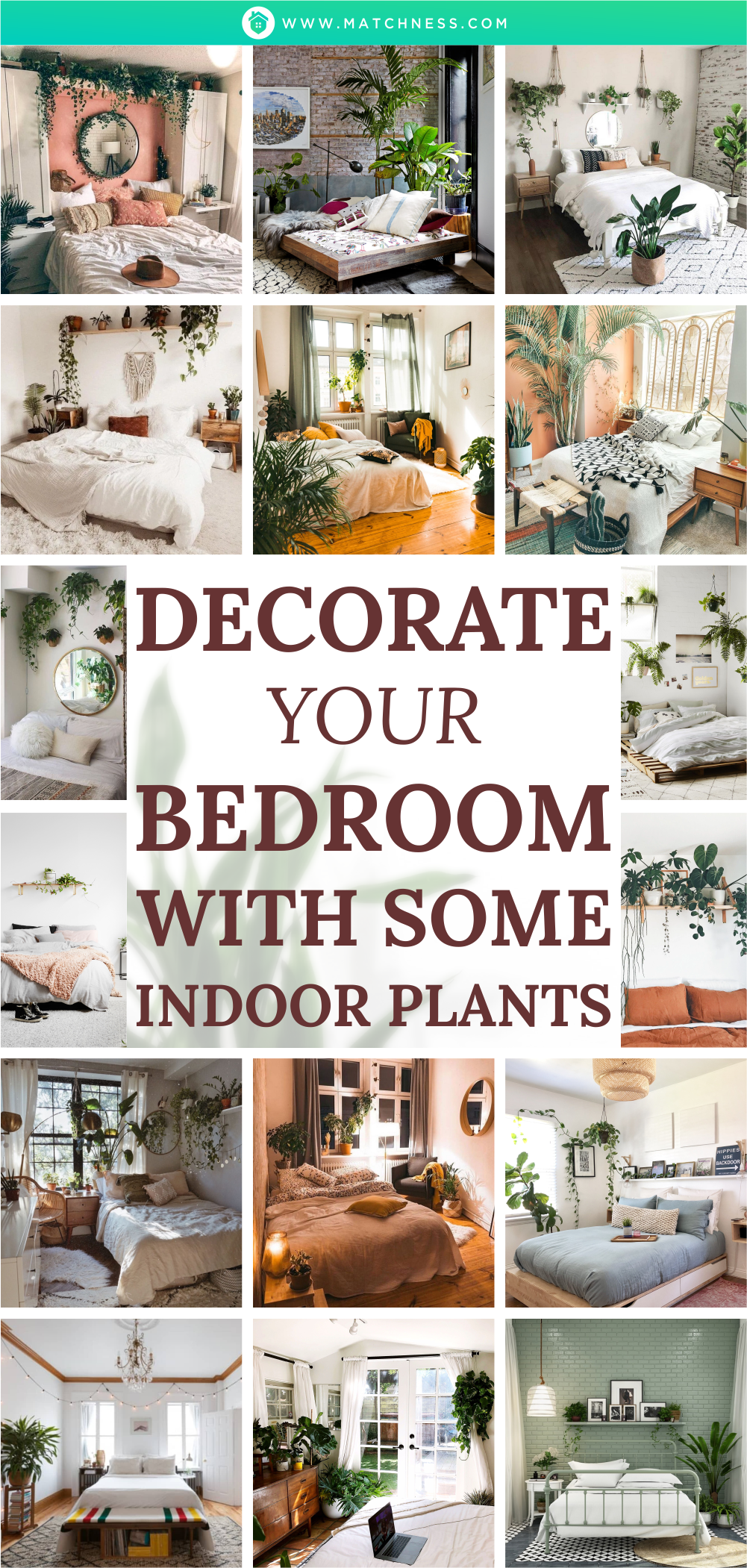 Decorate-your-bedroom-with-some-indoor-plants1
