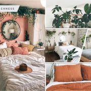 Decorate your bedroom with some indoor plants2