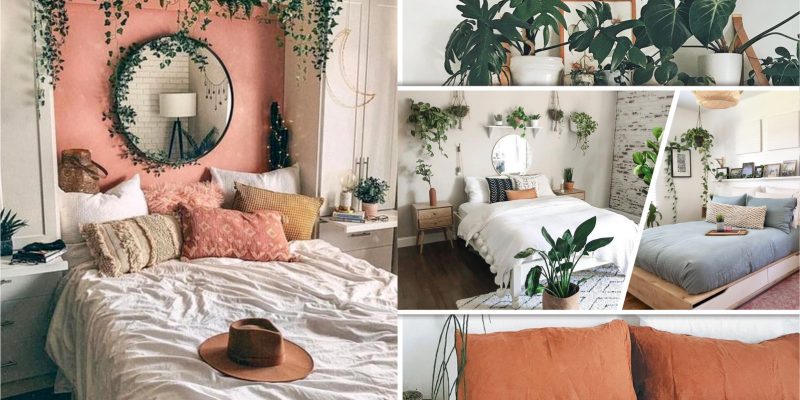 Decorate your bedroom with some indoor plants2