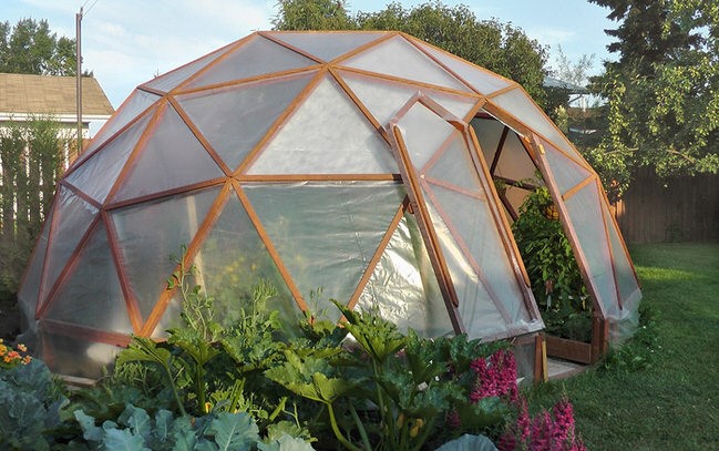 Geo-dome2