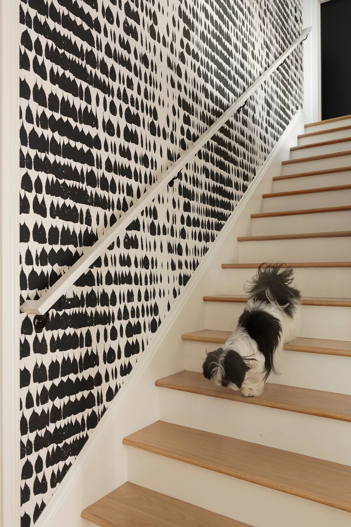 Modern-contemporay-staircase-with-black-and-white-wallpaper-wall