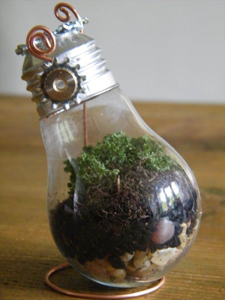 Old-light-bulb-mini-terrariums