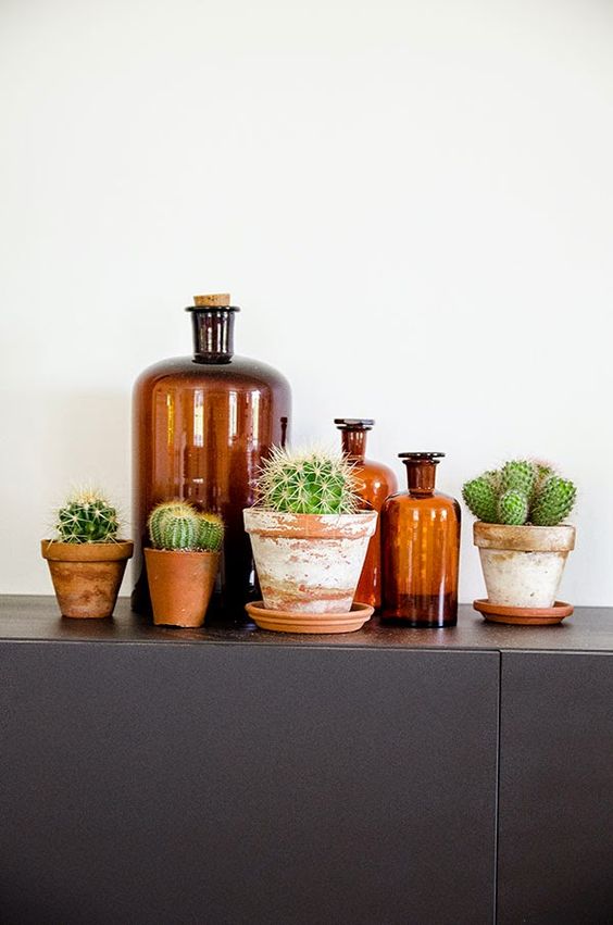 Small-cactus-decoration-ideas15