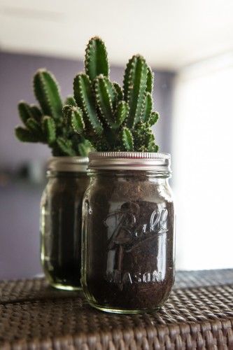 Small-cactus-decoration-ideas7