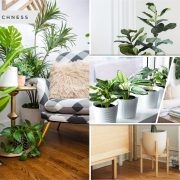 The use of fake plants for your home decoration2