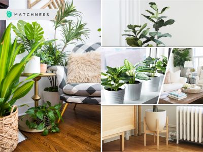The use of fake plants for your home decoration2