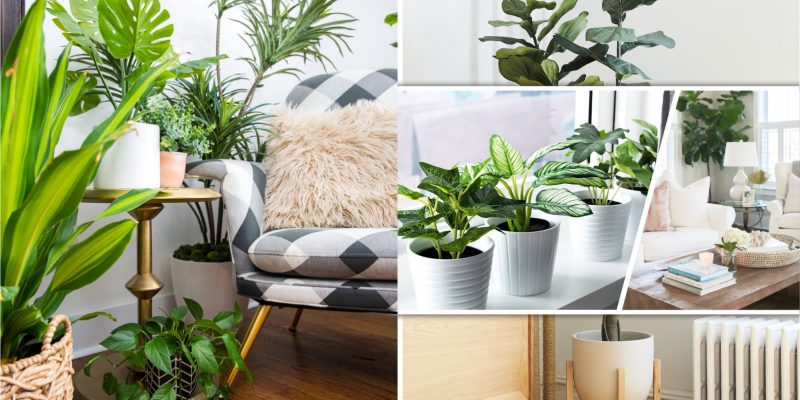 The use of fake plants for your home decoration2