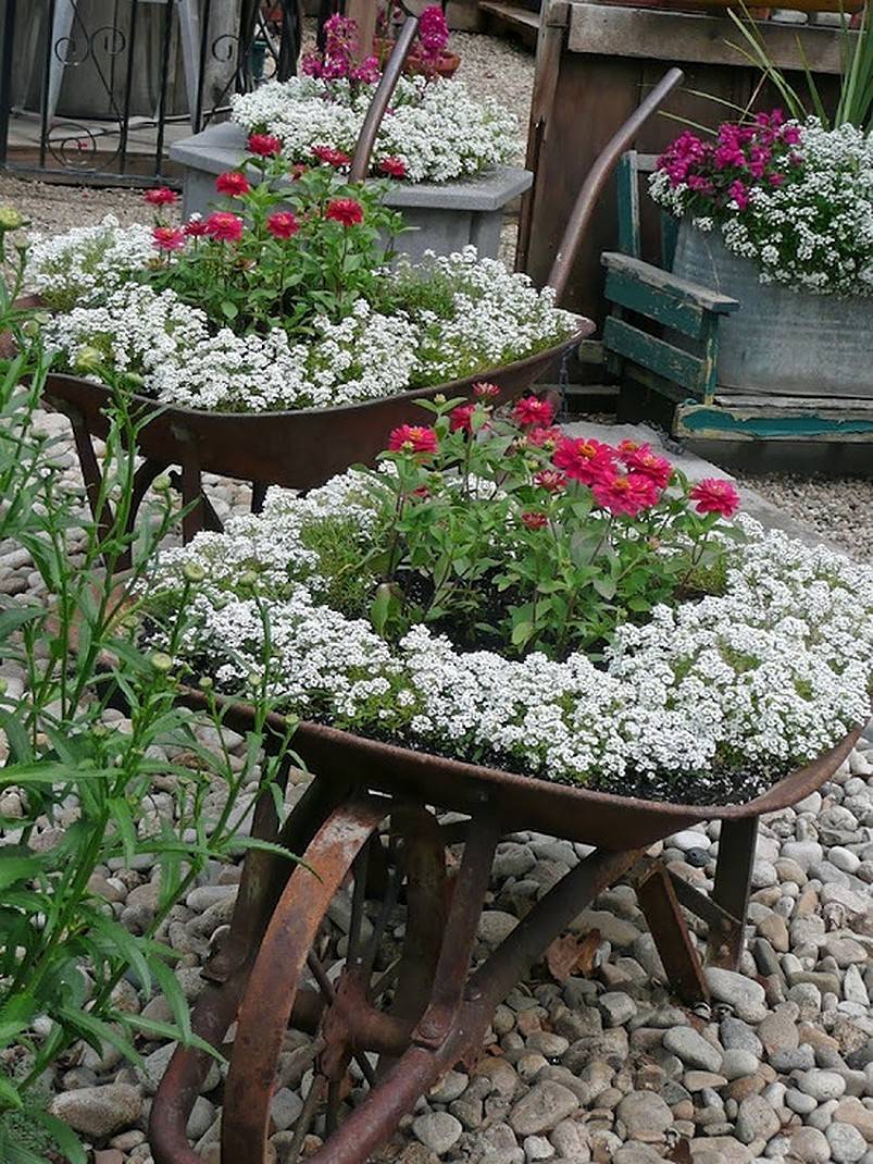 Wheelbarrow-with-flowers.v1-12573