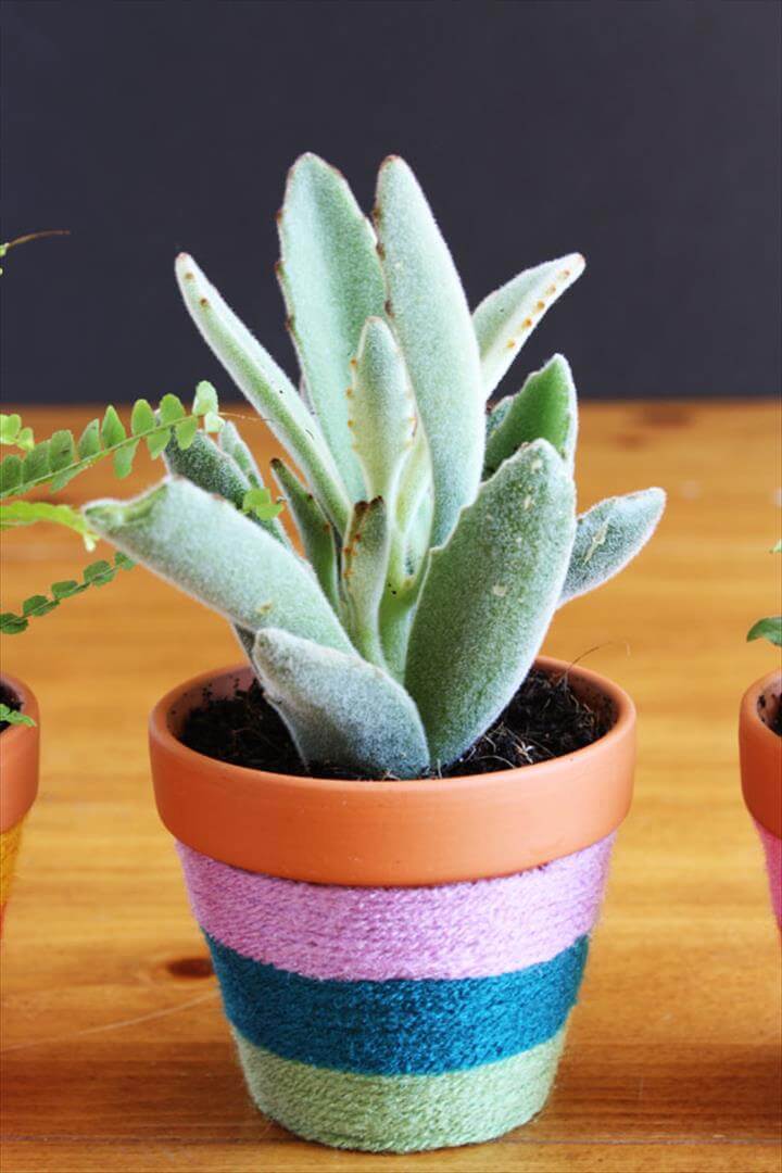Yarn-wrapped-flower-pots