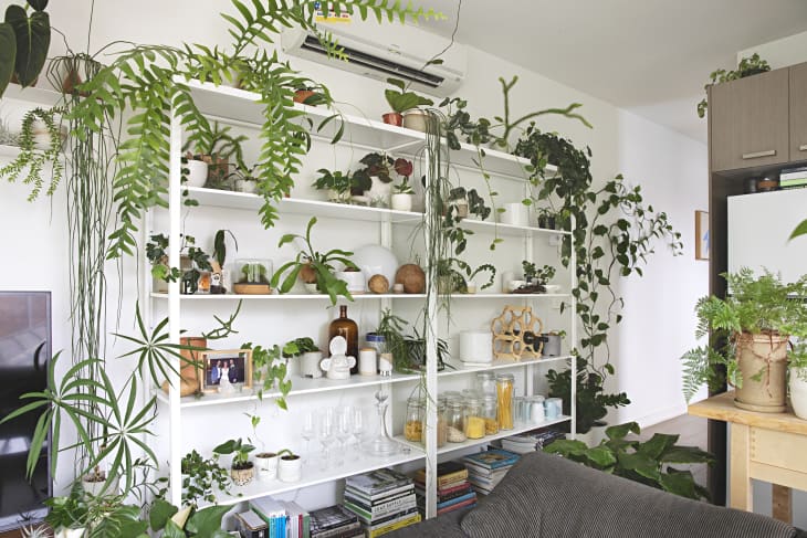 At_house-tours_2020-03_thomas-d__e5a8508