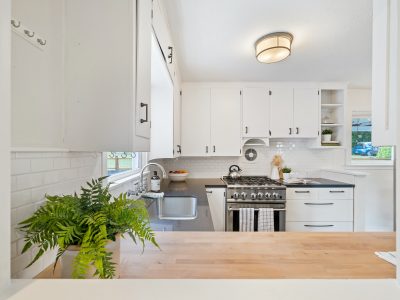 Contemporary-decor-modern-kitchen