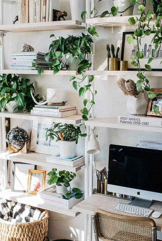Enliven-your-workspace-with-potted-greenery-and-climbing-plants-easily-they-will-make-the-space-welcoming