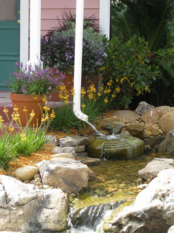 Flowing-dry-creek-1