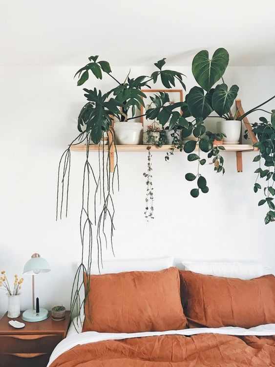 Fresh-bedroom-ideas