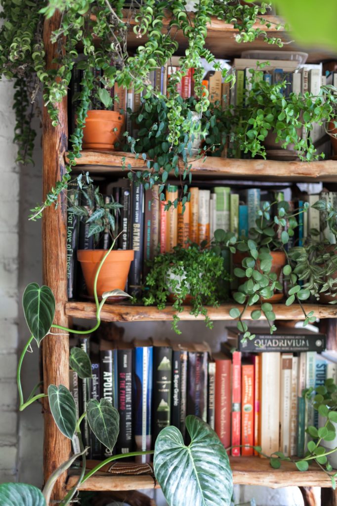 Gardenista-682x1024-1