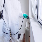 Home-pest-control