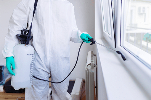 Home-pest-control