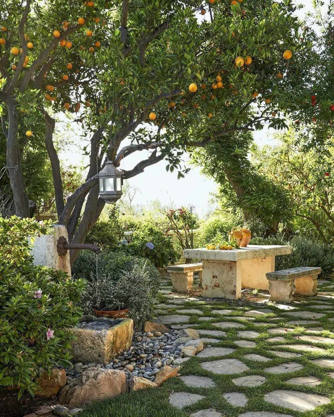 Lemon-trees