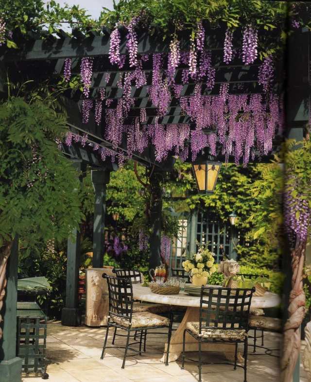 Pergola-garten-sichtschutz-romantik-blauregen-umrankt