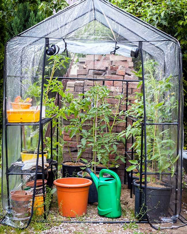 Plastic-sheeting-greenhouse-cover-17
