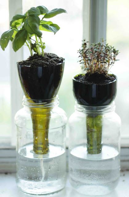 1438717995-glass-planter