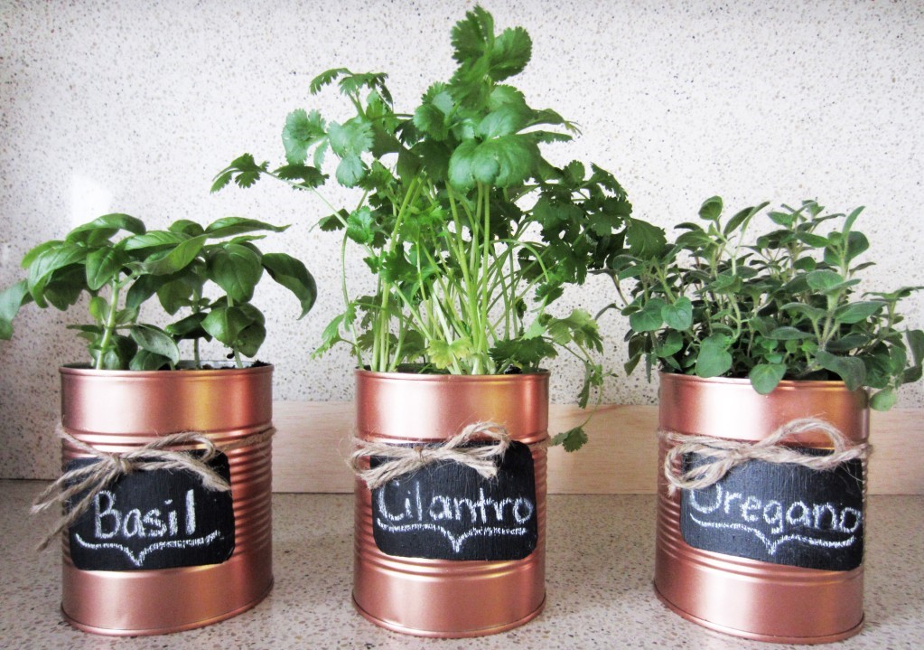 19-creative-re-purposed-diy-tin-cans-projects-that-you-must-try-homesthetics-16-1