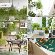 45 ideas to provide houseplant to your house