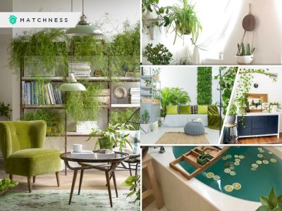 45 ideas to provide houseplant to your house