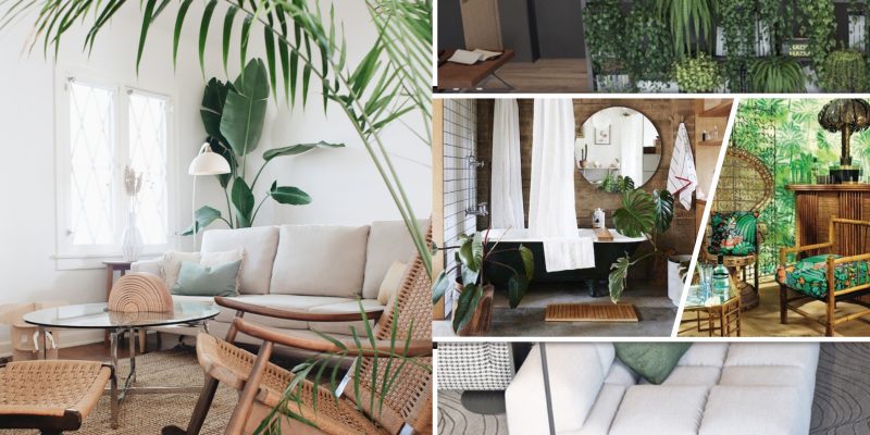 Effective ways to create a fresh home oasis