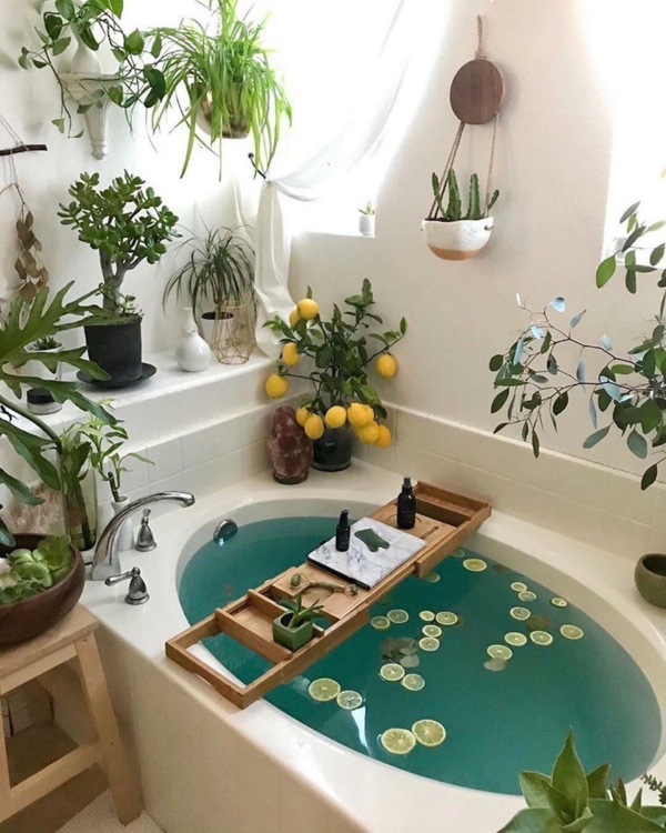 Room-decorating-ideas-with-plants12