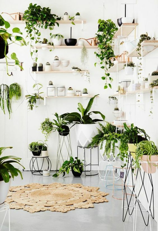 Room-decorating-ideas-with-plants16