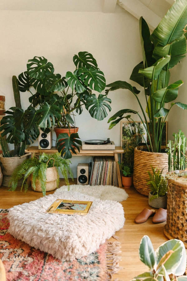 Room-decorating-ideas-with-plants3