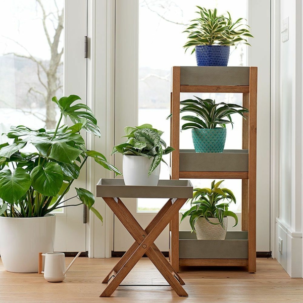 Room-decorating-ideas-with-plants8
