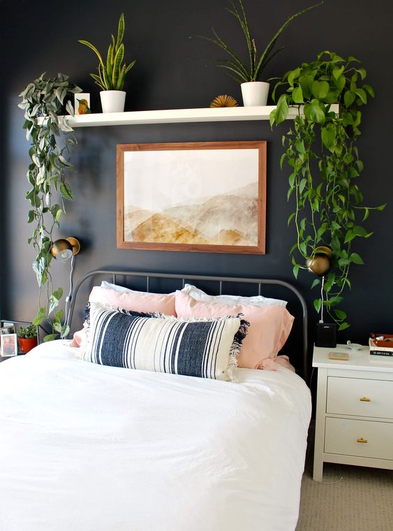 A-boho-bedroom-with-a-black-accent-wall-a-metal-bed-and-an-open-shelf-with-climbing-plants