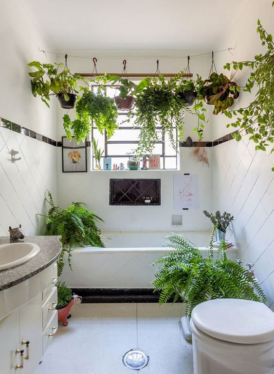 A-boho-white-bathroom-in-black-and-white-with-climbing-plants-over-the-tub-and-ferns-around-feels-relaxed