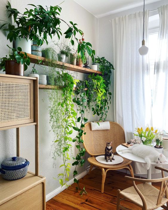 A-cozy-reading-nook-with-rattan-furniture-open-shelves-with-potted-plants-and-climbers-is-very-chic-and-fresh